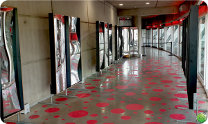 lachspiegels-in-een-stadion-in-Normandie-1